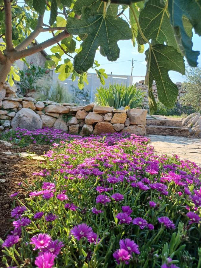 הוילה ווינייראץ Stone House Knezevic מראה חיצוני תמונה